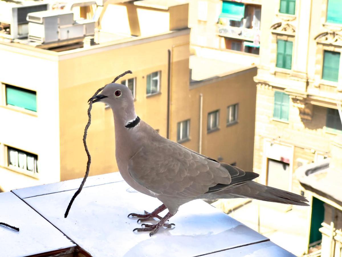 Home Sweet Home Nel Cuore Di Genova Bagian luar foto